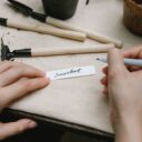 Digital Green Thumbs: Top Online Gardening Tools and Resources for 2026